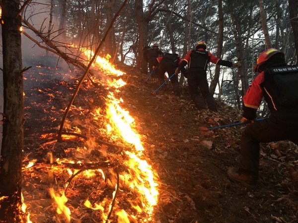 Photo shows Fire-fighters putting out fire in the forest.