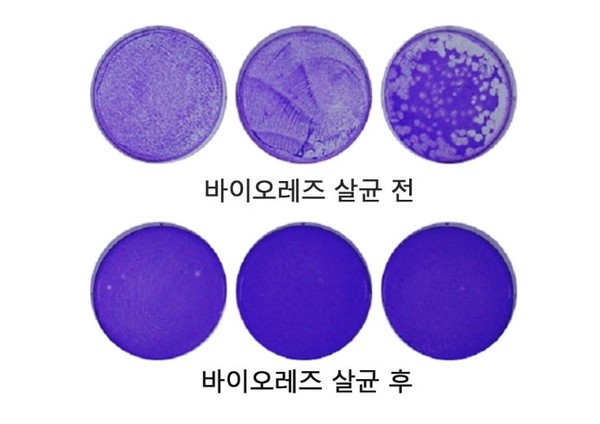 바이오레즈에 살균된 신종 코로나바이러스 사진=서울바이오시스 제공