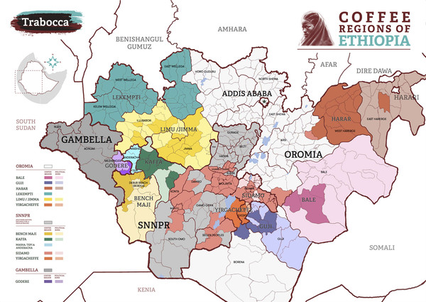 에티오피아 커피 생산지 지도