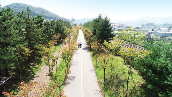 전남 순천시 가로수길(2019년 녹색도시우수사례)