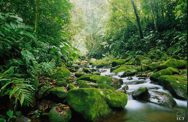 코스타리카는 아름다운 자연환경을 자랑한다