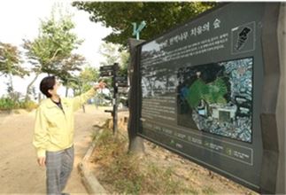 김미경 은평구청장 은평 편백나무숲 현장사진