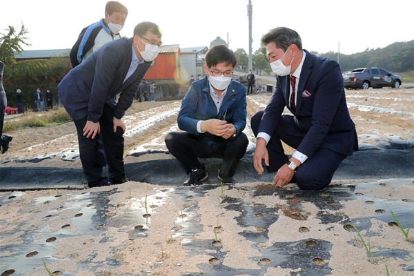 허태웅 농촌진흥청장(가운데)이 충남 홍성의 국산 마늘 '홍산' 재배 농장을 방문해 모종을 확인하고 있다