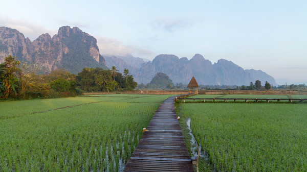 A picturesque scene of the countryside with paddy fields on both sides of a passage through them against the backdrop of scenic mountains and foothills in Vangvieng District, Vientiane Province.