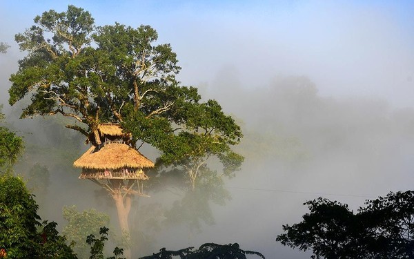 A picturesque straw-roofed house built on a large tree at Ban Houayxay, Bokeo Province