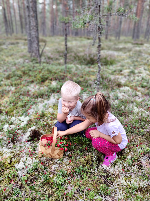 Going to nature is very popular among Estonians.