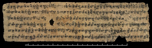 Sanskrit manuscript of the Lotus Sūtra in South Turkestan Brahmi script.