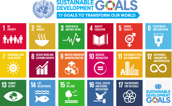 17 Sustainable Development Goals to transform the world.