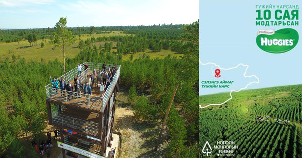 몽골 유한킴벌리숲 전경 및 현지 소비자 캠페인 모습