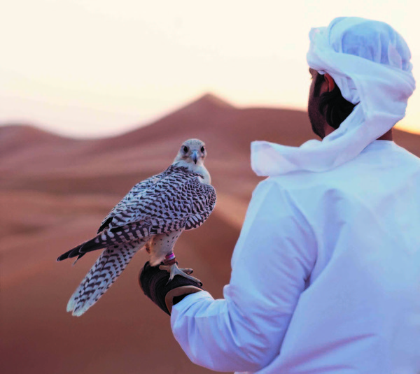 UAE Culture 2020 and Heritage