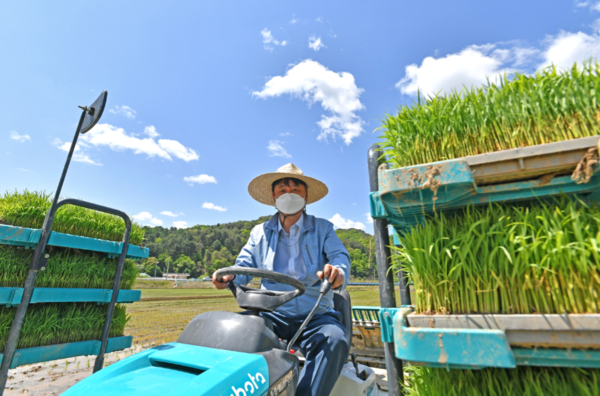 Hwacheon County Mayor Choi Moon-soon helps farmers, driving a rice planting car.