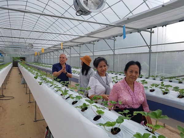 화인엔터프라이즈 황관수 대표와 인도네시아 발리 농장 임직원들과 견학하는 모습