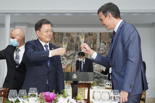 문재인 대통령(왼쪽, 전면)이 스페인 방문중 스페인 페드로 산체스 총리 (오른쪽)와 마드리드 총리 궁에서 건배하고 있다.