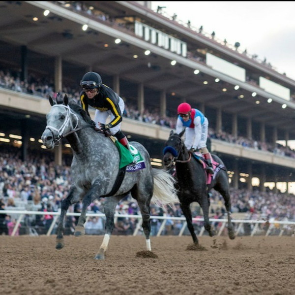 Knicks Go (left), a racehorse of the Korea Racing Authority (KRA), wins the Breeders’ Cup Classic Championship.