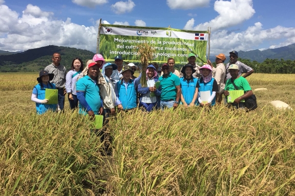 The RDA is promoting overseas agricultural technology support projects with 52 development cooperation partner countries through K-agricultural technology. The photo shows the Dominican rice productivity business site evaluation meeting. 