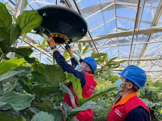 Staff members of the State Grid Tianjin Electric Power Company’s branch in Baodi district, north China’s Tianjin municipality, install a smart agricultural device in a greenhouse. (Photo/cpnn.com.cn)