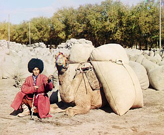 A Turkmen man of Central Asia in traditional clothes. Photo by Prokudin-Gorsky between 1905 and 1915.