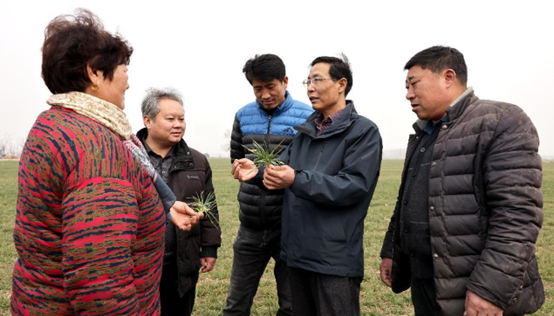 Meng Fanliang (second from right), an agricultural expert, is invited by an agricultural cooperative in Yicheng district, Zaozhuang city, east China’s Shandong province, to teach spring wheat management techniques to local “farmland nannies”, people who are hired to tend and manage farmlands for others, Feb. 28, 2022. (Photo by Sun Zhongzhe/People’s Daily Online)