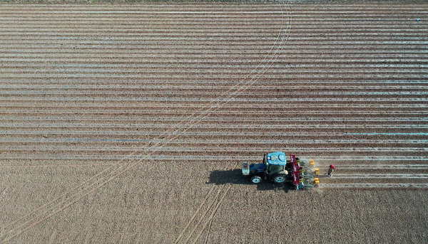 Aerial photo taken on April 17, 2022 shows an unmanned seeder equipped with the BeiDou Navigation Satellite System (BDS) working in a cornfield in Jing’an township, Ganzhou district, Zhangye city, northwest China’s Gansu province. The machine can perform operations such as laying plastic mulch films, setting up a drip irrigation system, fertilizing the field and sowing seeds. (Photo by Yang Yongwei/People’s Daily Online)