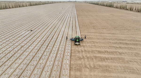A cotton farmer employs a seeder equipped with the BeiDou Navigation Satellite System (BDS) to sow cotton seeds in Bohu county, Bayingolin Mongolian autonomous prefecture, northwest China’s Xinjiang Uygur autonomous region, April 8, 2022.