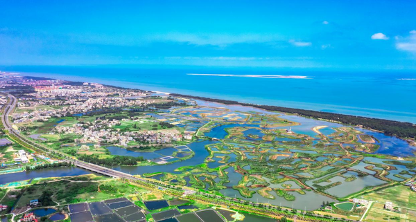 Photo shows a beautiful wetland park in Maiya River area in Jiangdong New Area, Haikou city, south China’s Hainan province. Thanks to the ecological restoration projects implemented since 2020, the biodiversity of the Maiya River basin has been restored and the area has become the habitat of many bird species. (Photo by Kang Denglin/People’s Daily Online)