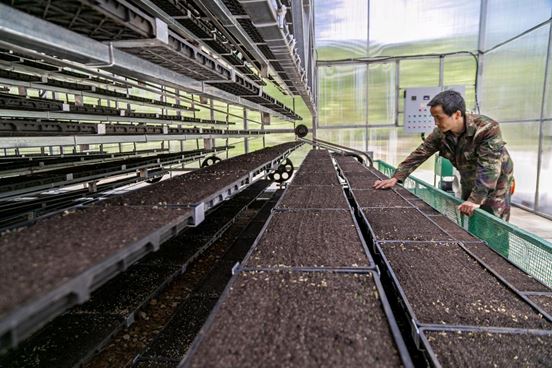 A technician works at a rice seedling cultivation factory of an agricultural machinery cooperative in Tongdao Dong autonomous county, Huaihua city, central China’s Hunan province, April 19, 2022. (Photo by Yin Xuping/People’s Daily Online)