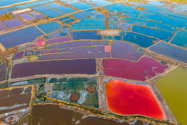 Photo taken on June 5, 2022 shows the colorful salt lake wetland in Yuncheng city, north China’s Shanxi province. (Photo by Yan Xin/People’s Daily Online)