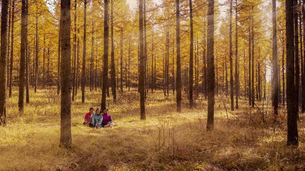Photo taken on Sept. 28, 2021 shows beautiful scenery in the Saihanba National Forest Park, Chengde city, north China's Hebei province. (Photo by Xiao Xueping/People's Daily Online)