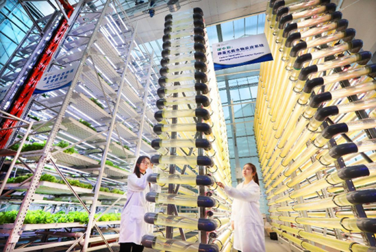 Technicians of a bioelectronics company based in Ma'anshan, east China's Anhui province, check the growth of microalgae after an energy-saving lighting technology developed by the company is applied, Jan. 12, 2022. (Photo by Wang Wensheng/People's Daily Online)