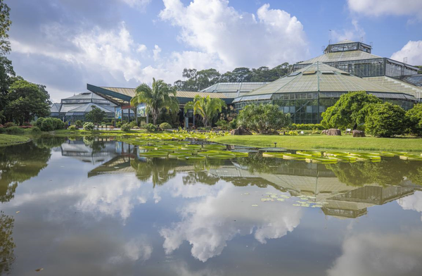 The South China National Botanical Garden is inaugurated in Guangzhou, south China's Guangdong province, July 11, 2022. (Photo by Fu Haiyan/People's Daily Online)