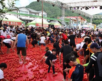 Gangwon-do Hwacheon Tomato Festival held in 2019