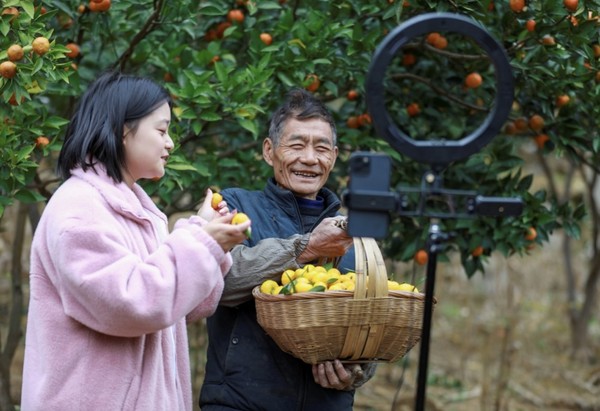 A cadre (first from the left) from Malu village, Supu township, Qianxi, southwest China's Guizhou province helps a villager sell oranges on a livestream platform. (Photo by Zhou Xunchao/People's Daily Online)
