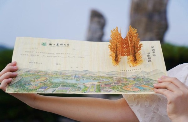 Photo taken on July 6, 2022 shows an acceptance letter made from thin bamboo slice issued by  Zhejiang Agriculture and Forestry University. (Photo by Chen Shengwei/People's Daily Online)