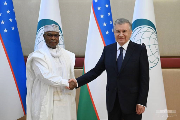 President of Uzbekistan Shavkat Mirziyoyev and OIC Secretary-General discuss issues of further enhancing practical interaction Hissein Brahim Taha