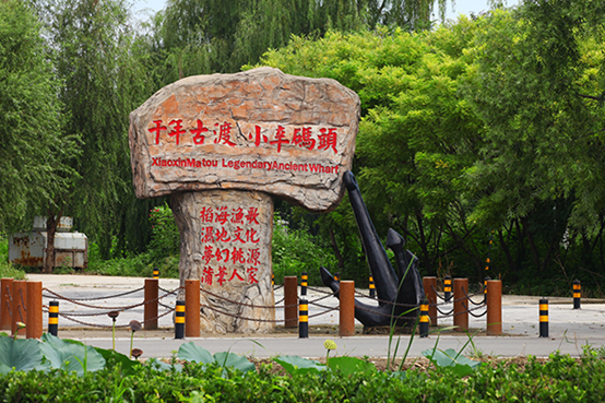 Photo shows Xiaoxinmatou village, Huangzhuang township, Baodi district, north China's Tianjin municipality. (Photo from the official website of the Ministry of Agriculture and Rural Affairs)