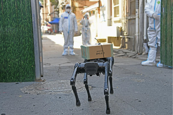 A robot dog sends an express parcel to a quarantine area for COVID-19 control in Tianning district, Changzhou, east China's Jiangsu province, Nov. 8, 2021. (Photo by Xia Chenxi/People's Daily Online)