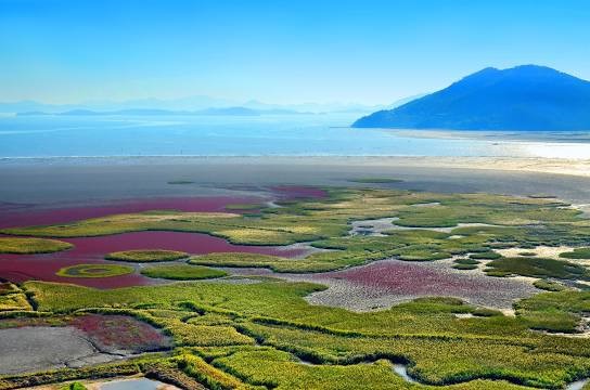 Suncheon Bay Wetland Reserve, which is cconsidered to be unique in Korea.