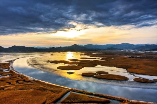 Suncheon Bay is noted for beautity and various other aspects of the local pride, including a large variety of marine lives.