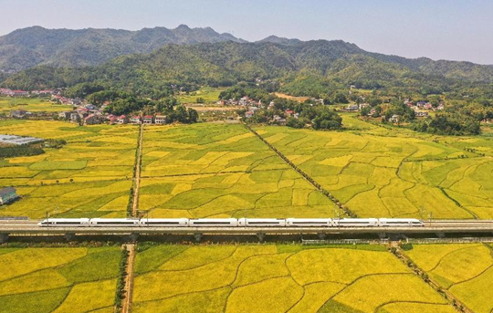 A bullet train runs in Heshan district, Yiyang, central China's Hunan province along the Chongqing-Xiamen high speed railway, Sept. 6, 2022. (Photo by Guo Liliang/People's Daily Online)