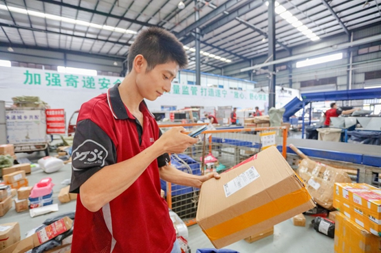 A man scans the code on an Express Parcel in a warehouse of a logistics company in Suining, southwest China's Sichuan province, September, 2020. (Photo by Liu Changsong/People's Daily Online)