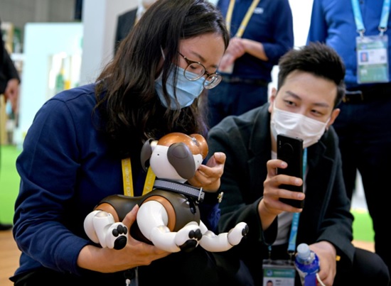 An AI robotic dog for entertainment is exhibited at the third China International Import Expo, Nov. 6, 2020. (Photo by Chen Bin/People's Daily Online)