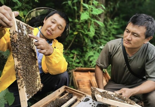 Two men from Dulong ethnic minority group in Nujiang Lisu autonomous prefecture, southwest China's Yunnan province check beehives. (Photo by People's Daily app)