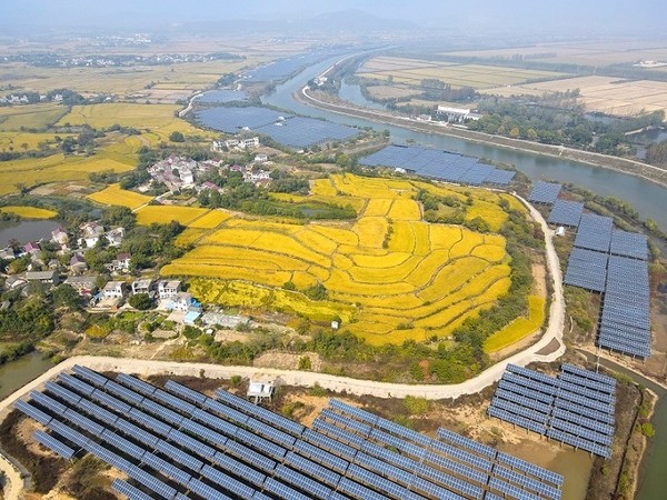 Photo taken in October, 2022 shows photovoltaic panels installed in Baihu township, Lujiang county, Hefei, east China's Anhui province. (Photo by Li Hongbing/People's Daily Online)