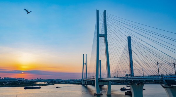 Photo taken on July 23, 2022 shows a cable-stayed bridge along the Nansha Port railway in Jiangmen, south China's Guangdong province. (Photo by Jin Wei/People's Daily Online)