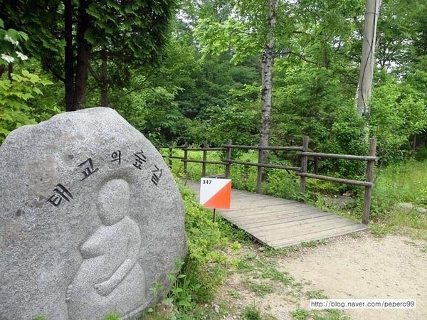 Jungmisan Mountain in Yangpyeong is noted for Taegyo-eui Supgil meaning “A wooded path for the pregnant women.”
