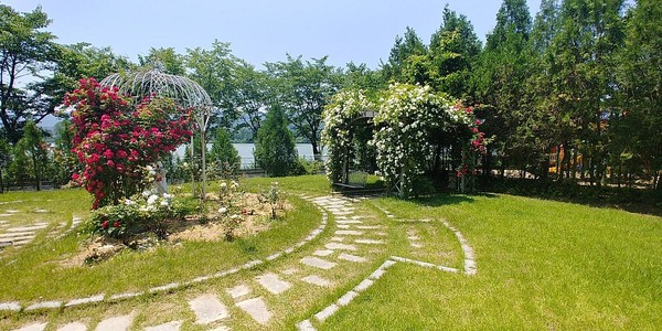 Wildflower Arboretum in Yangpyeong is still anotehr tourist attraction in Yangpyeong.