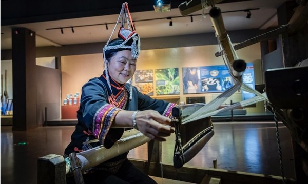 An inheritor of a provincial-level cultural heritage operates a loom at a museum of She ethnic culture in Jingning She autonomous county, Lishui city, east China's Zhejiang province, May 2022. (Photo by Li Suren/People's Daily Online)