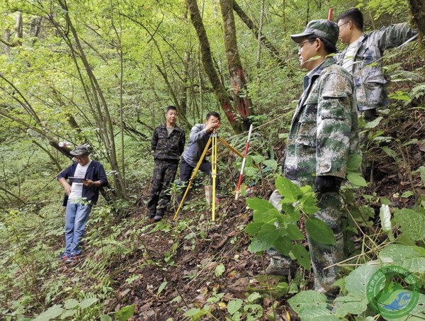 Ecological investigators use technical methods in forest monitoring in northwest China's Gansu province in 2022. (Photo from the website of the forest protection center of Xiaolong Mountain, northwest China's Gansu province)