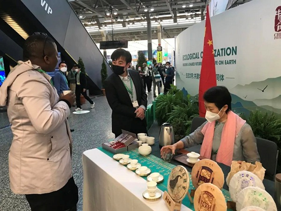 A representative attending the second part of the 15th meeting of the Conference of the Parties to the UN Convention on Biological Diversity visits the China Pavilion. (Photo courtesy of the Department of Ecology and Environment of Yunnan Province)