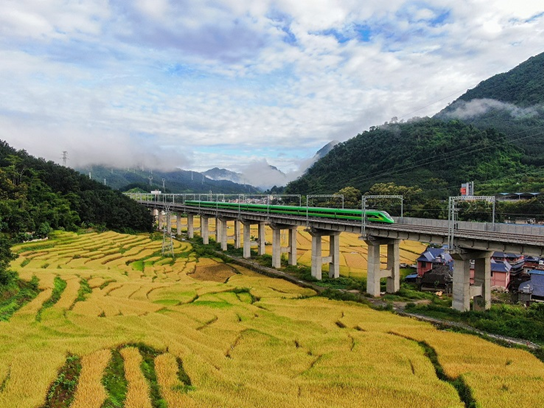 A bullet train runs on the China-Laos Railway in Mengla county, southwest China's Yunnan province, September 2022. (Photo by Li Yunsheng/People's Daily Online)